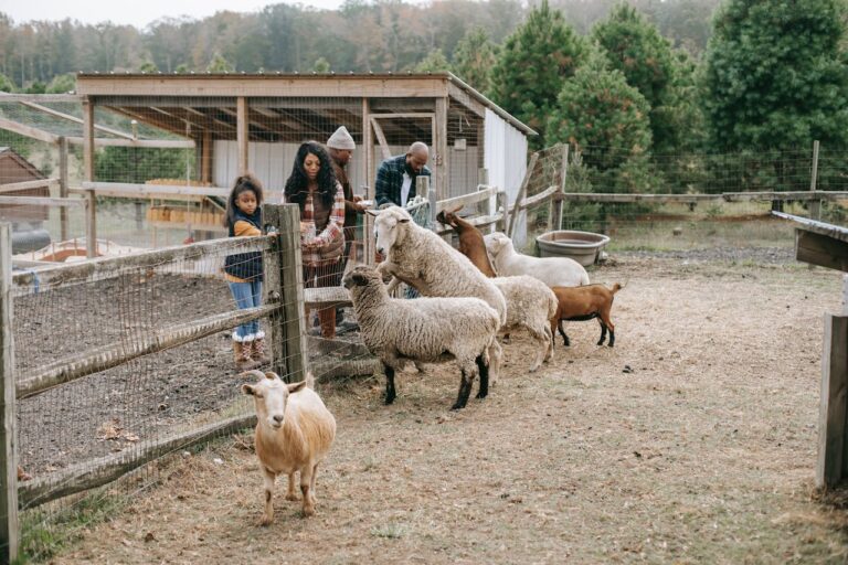 Cherishing Family Time on the Farm
